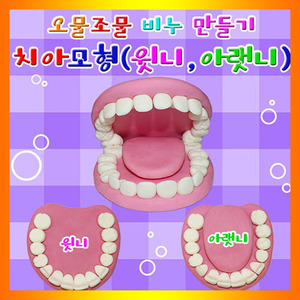 비누만들기 치아모형 3세트 JR 소근육발달 인지발달 체험학습 교구