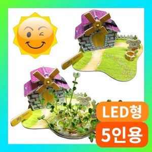 (3D 입체퍼즐 태양광 주택-새싹채소형 5인용) SUP